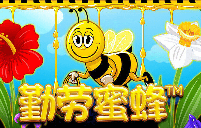 ag体育